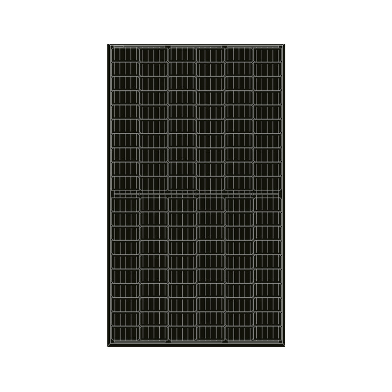 Longi LR6-60HPB-310M Zonnepaneel