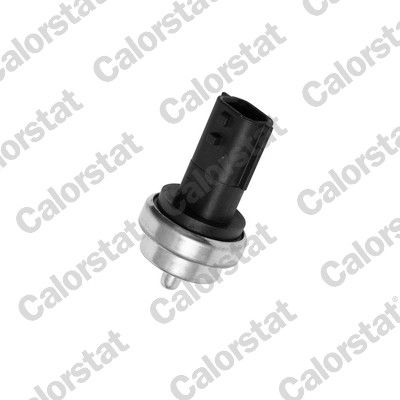 CALORSTAT Koelvloeistoftemperatuursensor