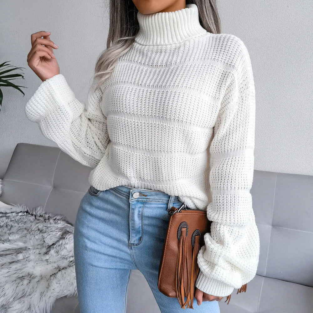 Airis™ | Dames Basis Rollneck Trui