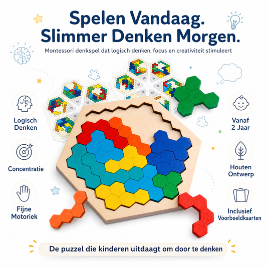Houten Hexagon IQ Puzzel