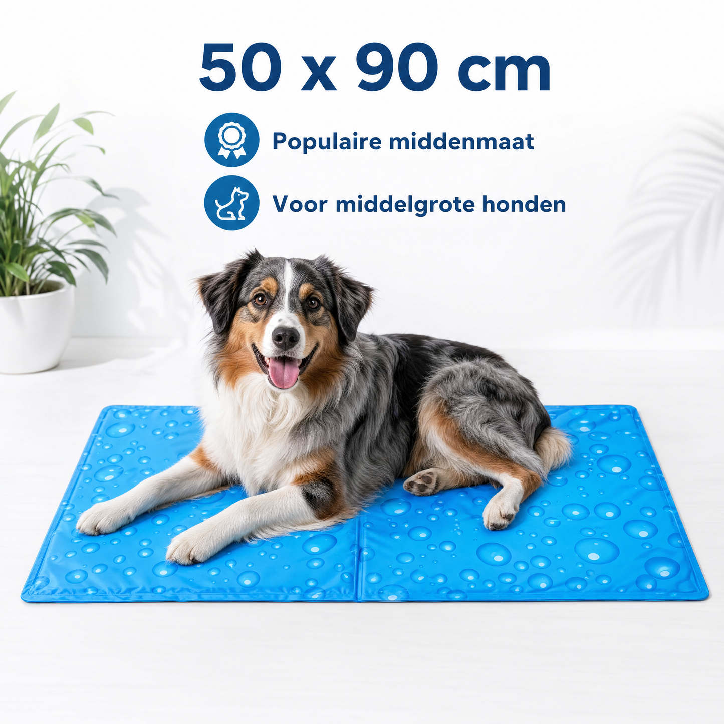 Koelmat voor Honden – Zelfkoelende Hondenmat voor Warme Dagen